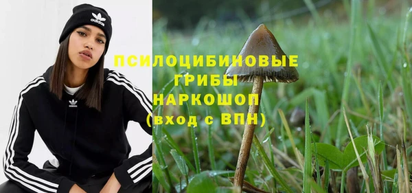 стафф Инсар
